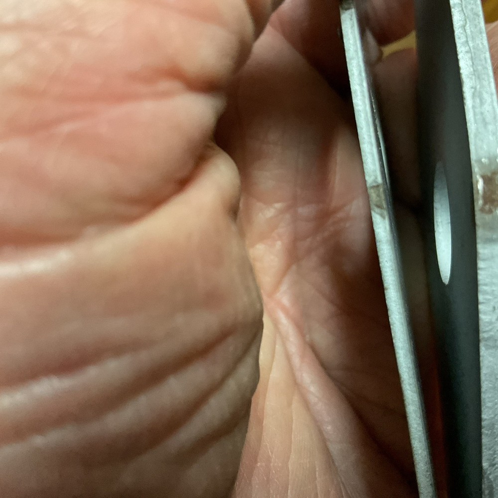 5 Replacement Craftsmen DADO Chipper Blades. 1 Different.