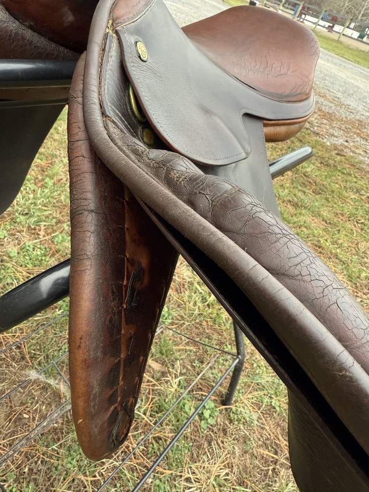 16.5” Northrun Ashland close contact saddle medium tree