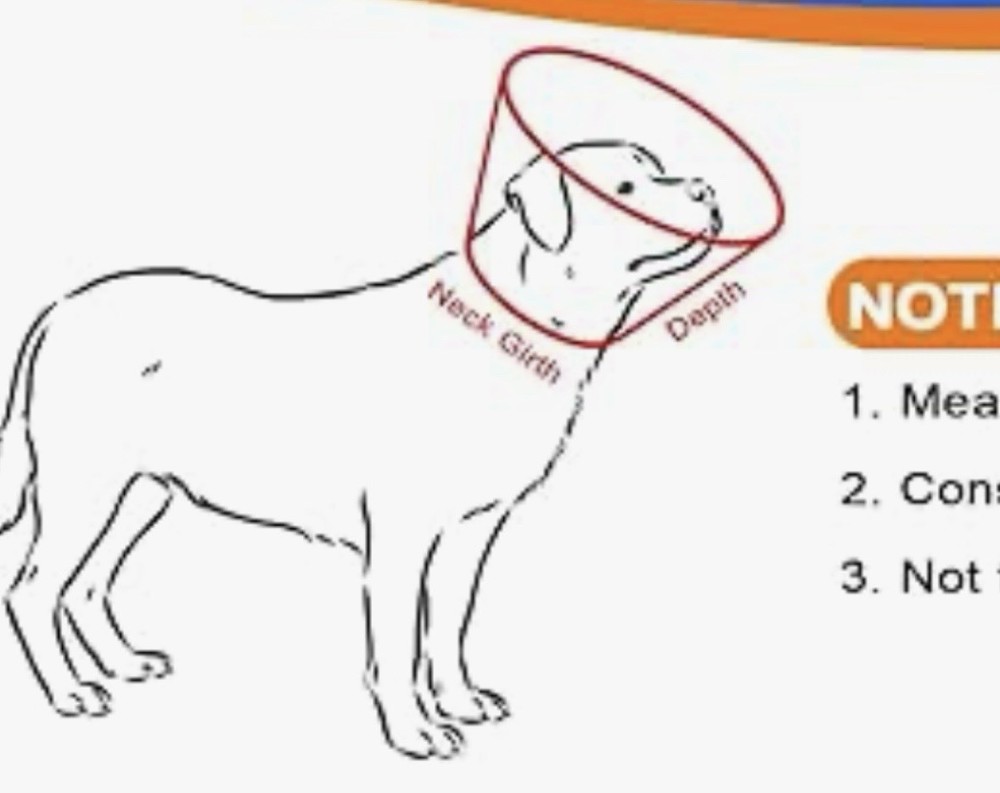 Dog Cone - Breathable, flexible - New
