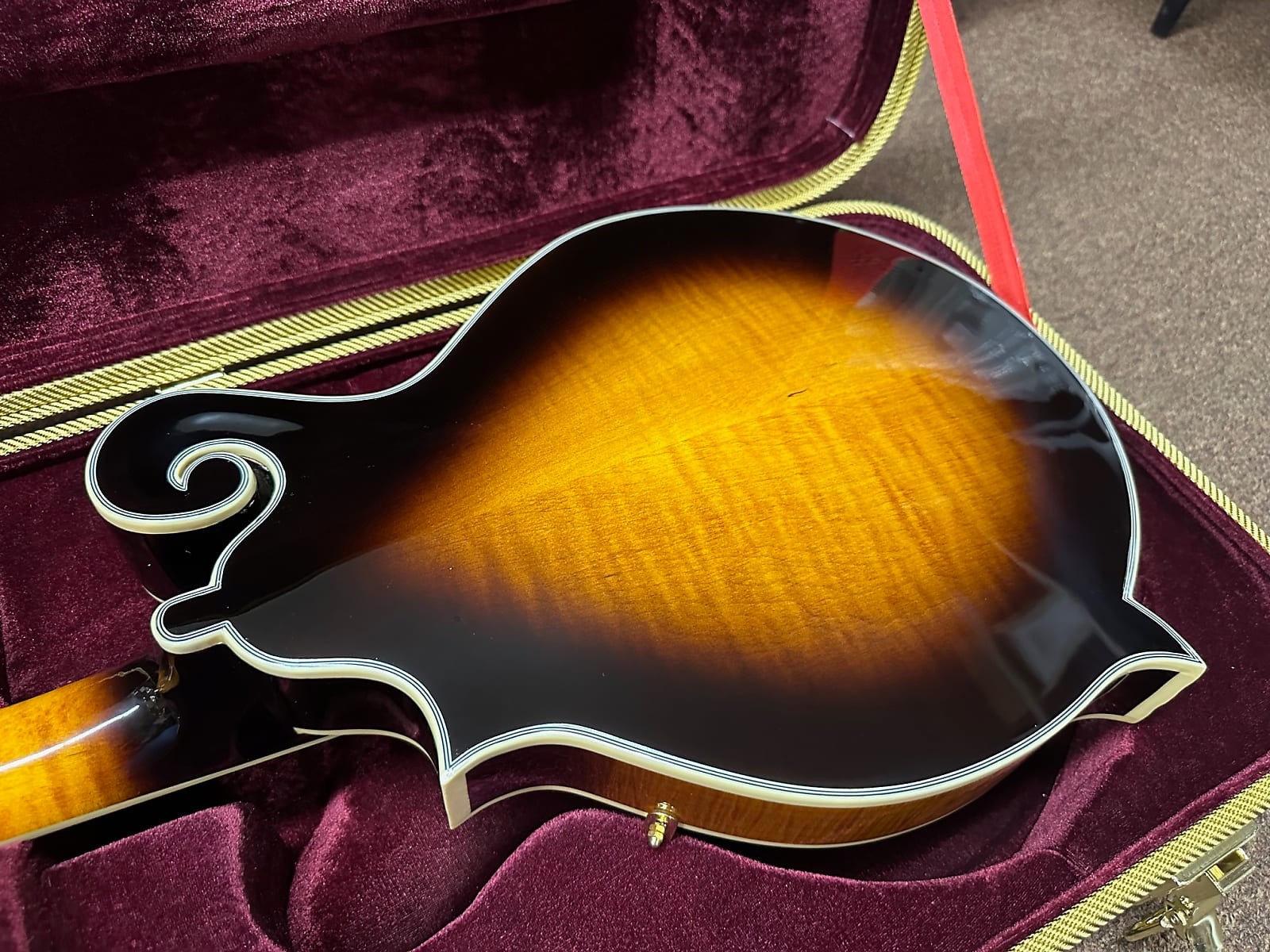 Gold Tone F-6+ F-style 6 String Electric Mandolin Guitar Mando-Guitar New W/Case