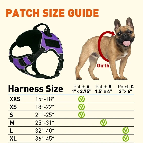 Multi-Purpose Dog Harness In Red - Dogline Quest