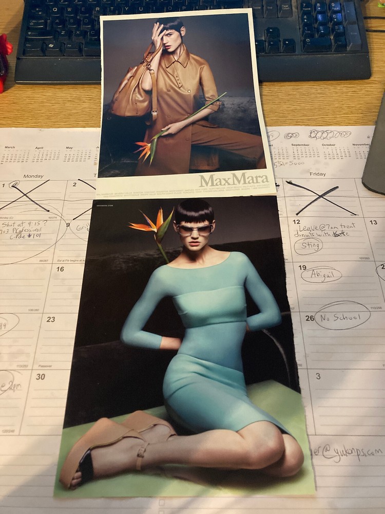 (2) Max Mara Ads