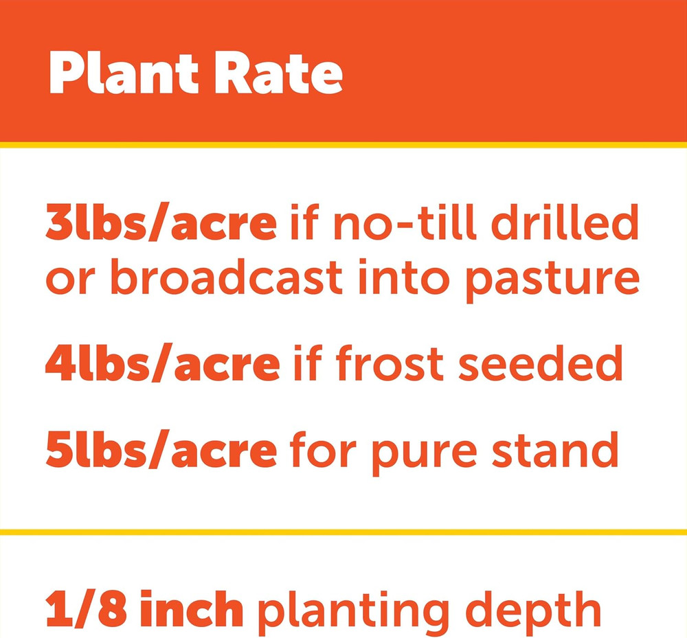 Pennington Durana White Clover