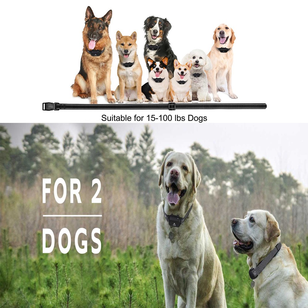 1000Ft Remote Rechargeable Dog Training Collar with Range IPX7 Waterproof US