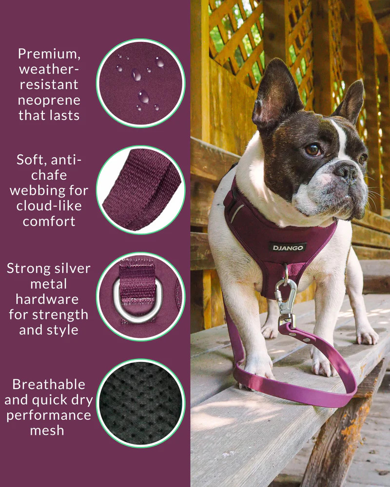 NWT Django Tahoe No Pull Dog Harness - Raspberry Purple