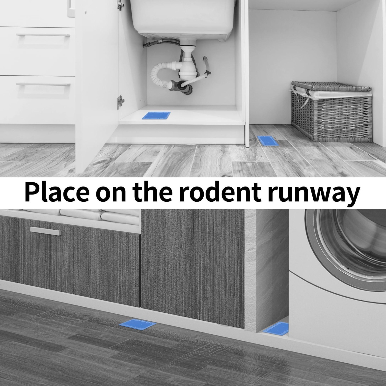 12 Pack Sticky Mouse Traps Indoor – LULUCATCH Non-Toxic Glue for Mice & Insects.