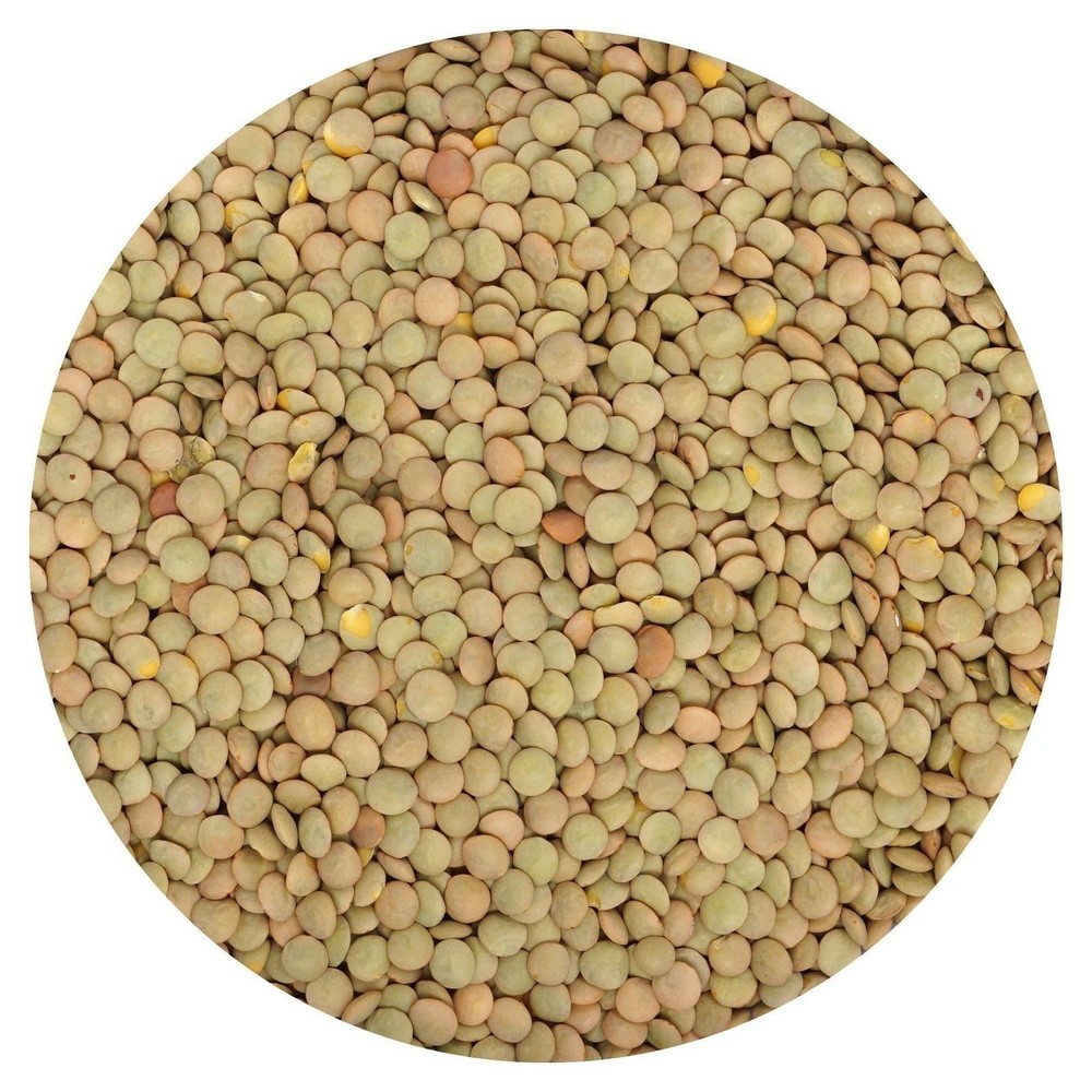 Brown Lentils, 2.5 Pound Bulk Bag