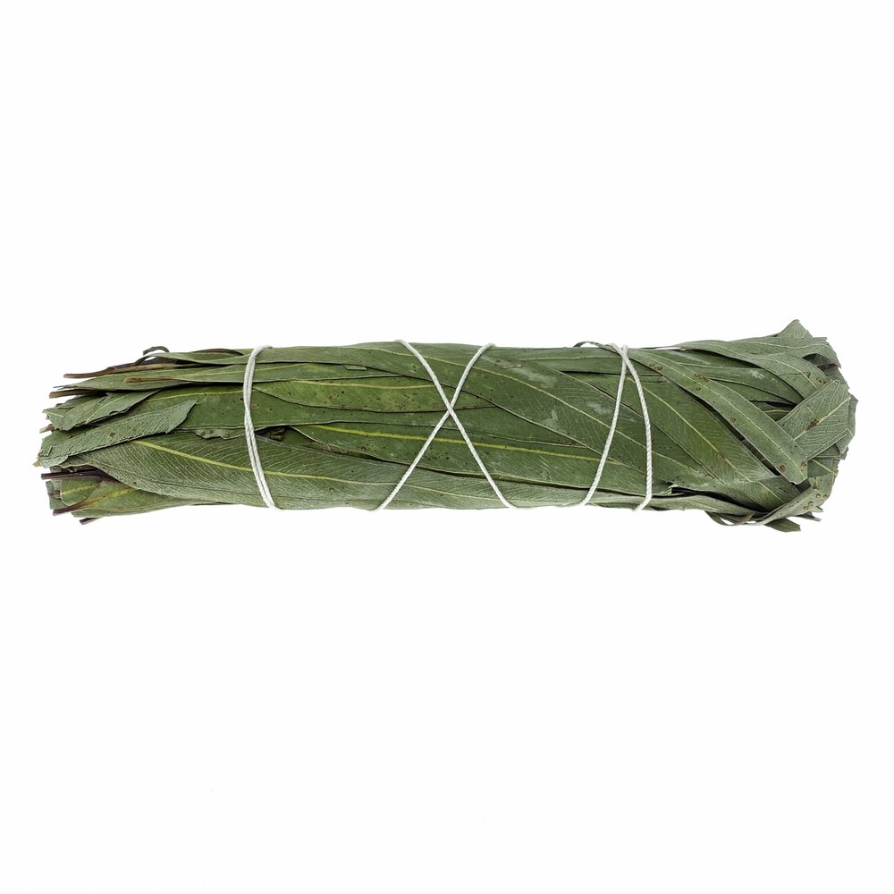 Smudge Stick - 5" Eucalyptus Bundle w/Instructions - Anti-Inflammatory, Health