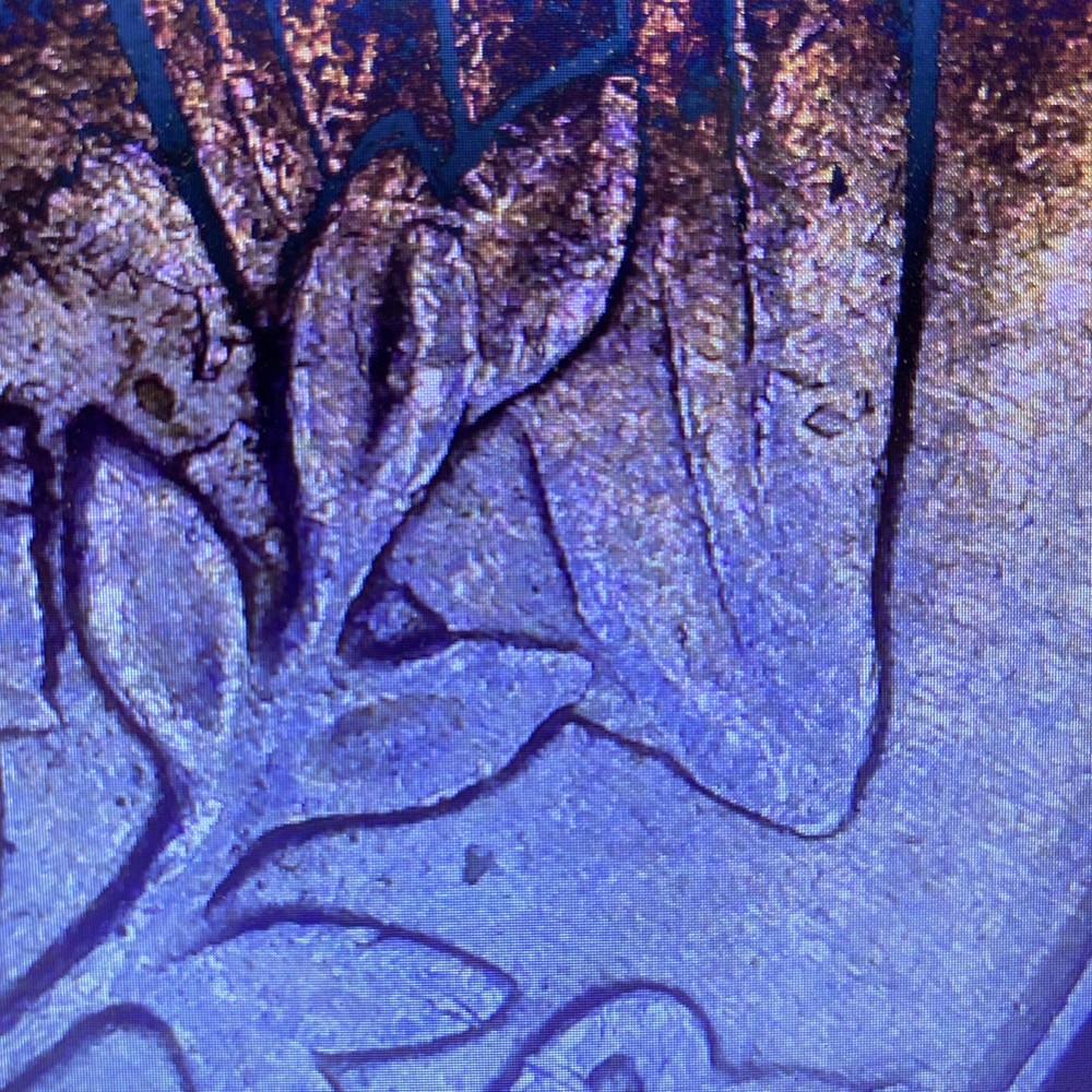 🔥1996 P Washington Quarter With DDR Errors🔥