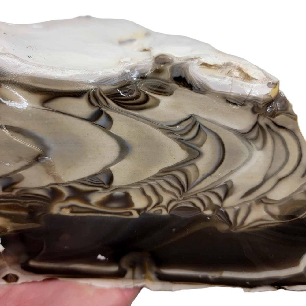 RARE Polish Flint Orbicular Rough Chunk!