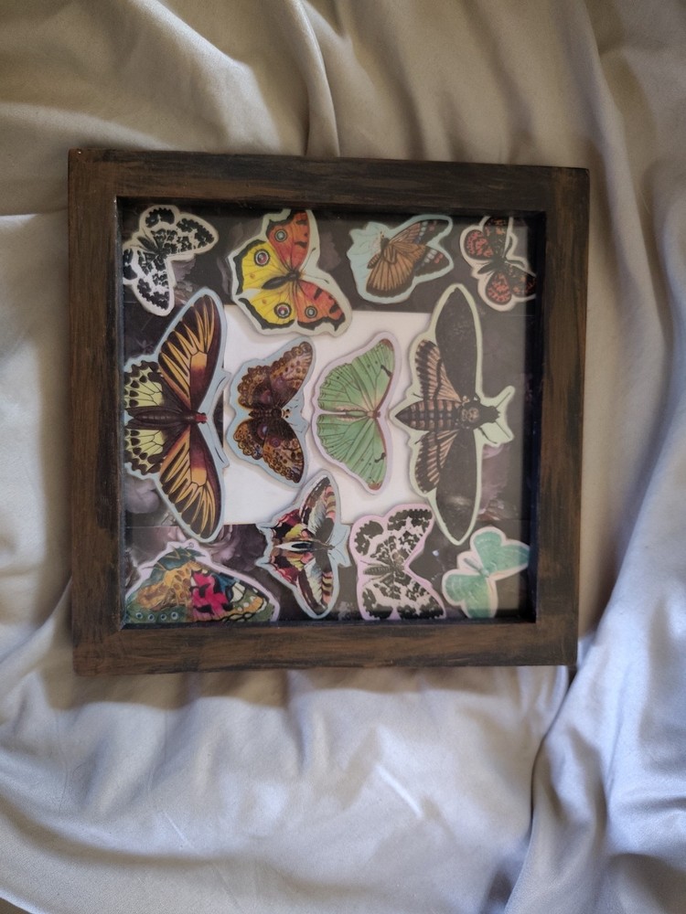 Handmade Framed Moth Artwork