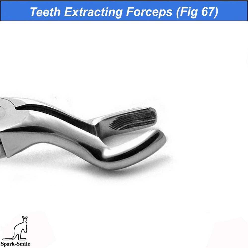 Dentistry Tooth Extraction Forceps Fig. 67 A Surgical Instruments Dental Forceps