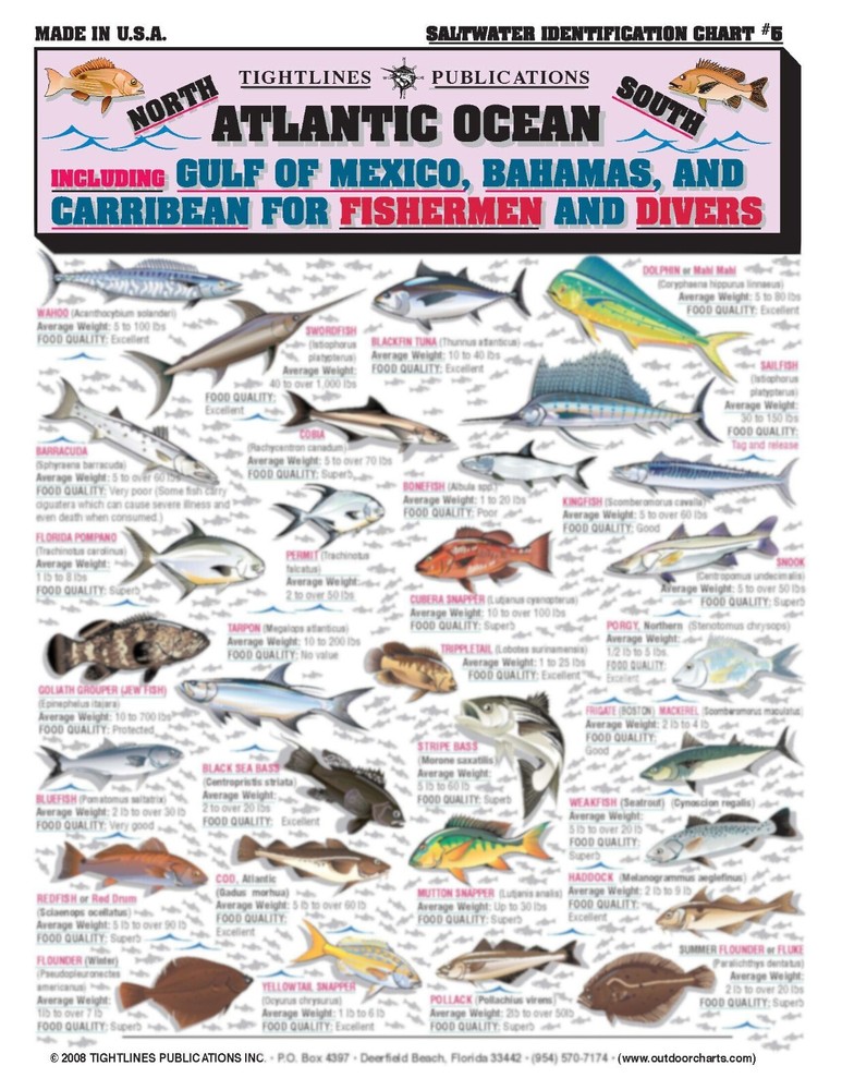 Fishermen's Saltwater Fish Identification Set - Waterproof Quick Reference Guide