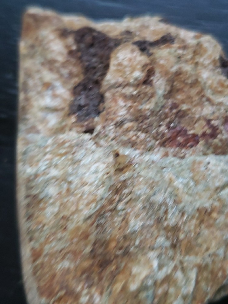 Native Gold Quartz Specimen TGW=41.7