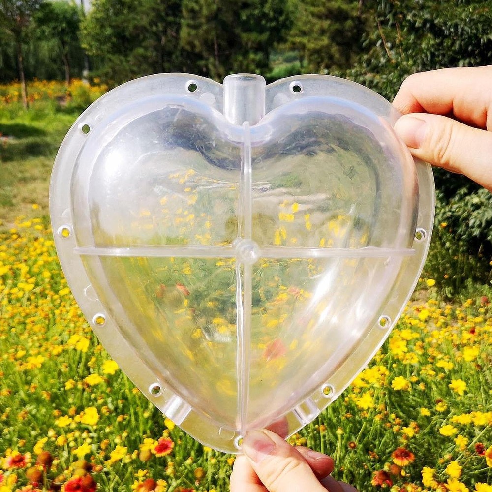 Heart Shaped Watermelon Growing Molds Practical Easy to Use Creative Reusable