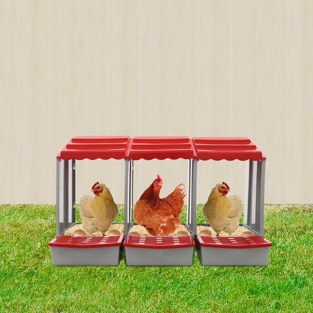3-Compartment Chicken Nesting Box for Efficient Egg Laying and Easy Collection