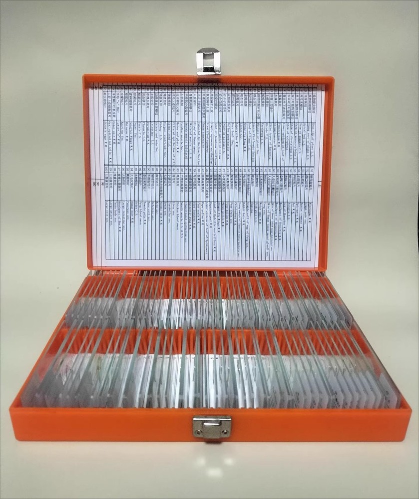 25pcs Biological Microscope Glass Slides & Educational Specimens with Locked Box