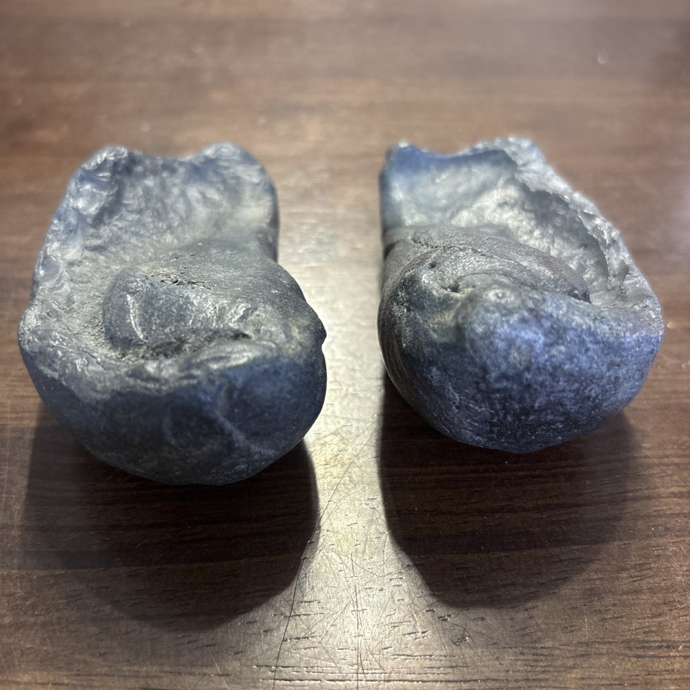 (2) 3.5 Inch Fossilized Whale Ear Bones