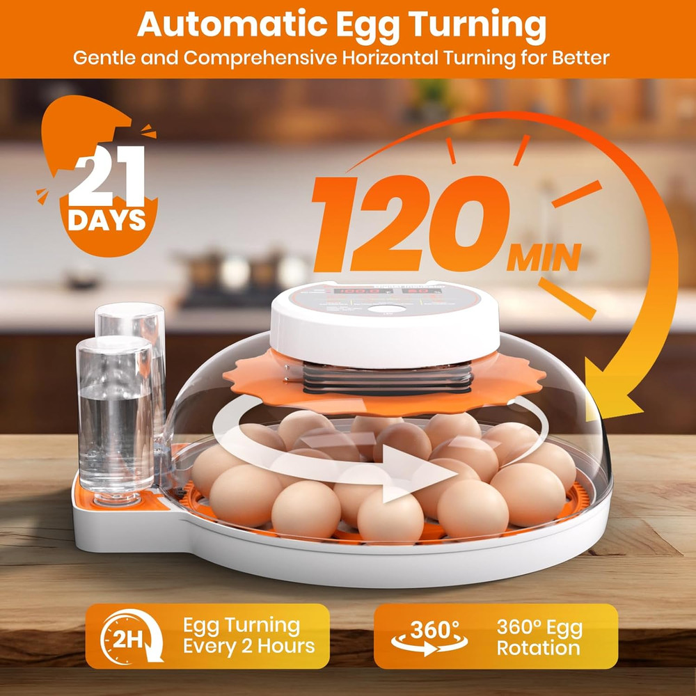Incubators for Hatching Eggs - 18 Egg Capacity，Automatic Egg Turner，360° Viewing