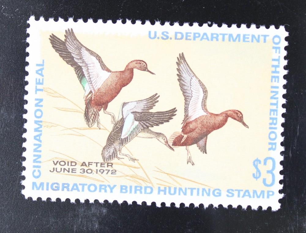 US SC# RW38 Mint Hinged / Small Rem - S39421