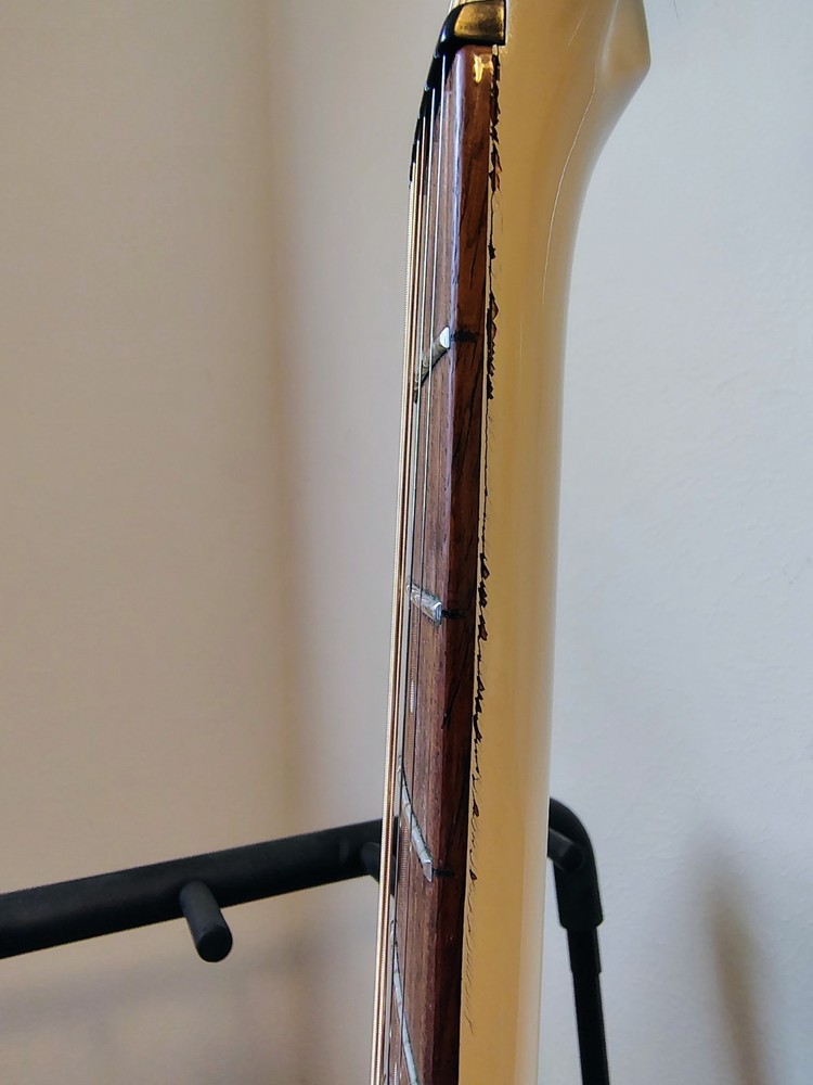 Washburn SBF-24 Thinline with Hard Shell Case