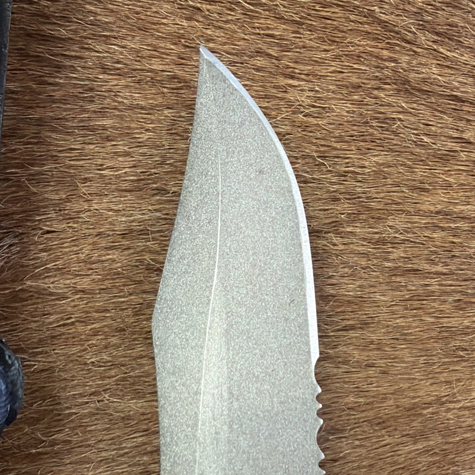 SEKI-JAPAN SOG SEAL PUP SATIN FINISH FIXED BLADE KNIFE