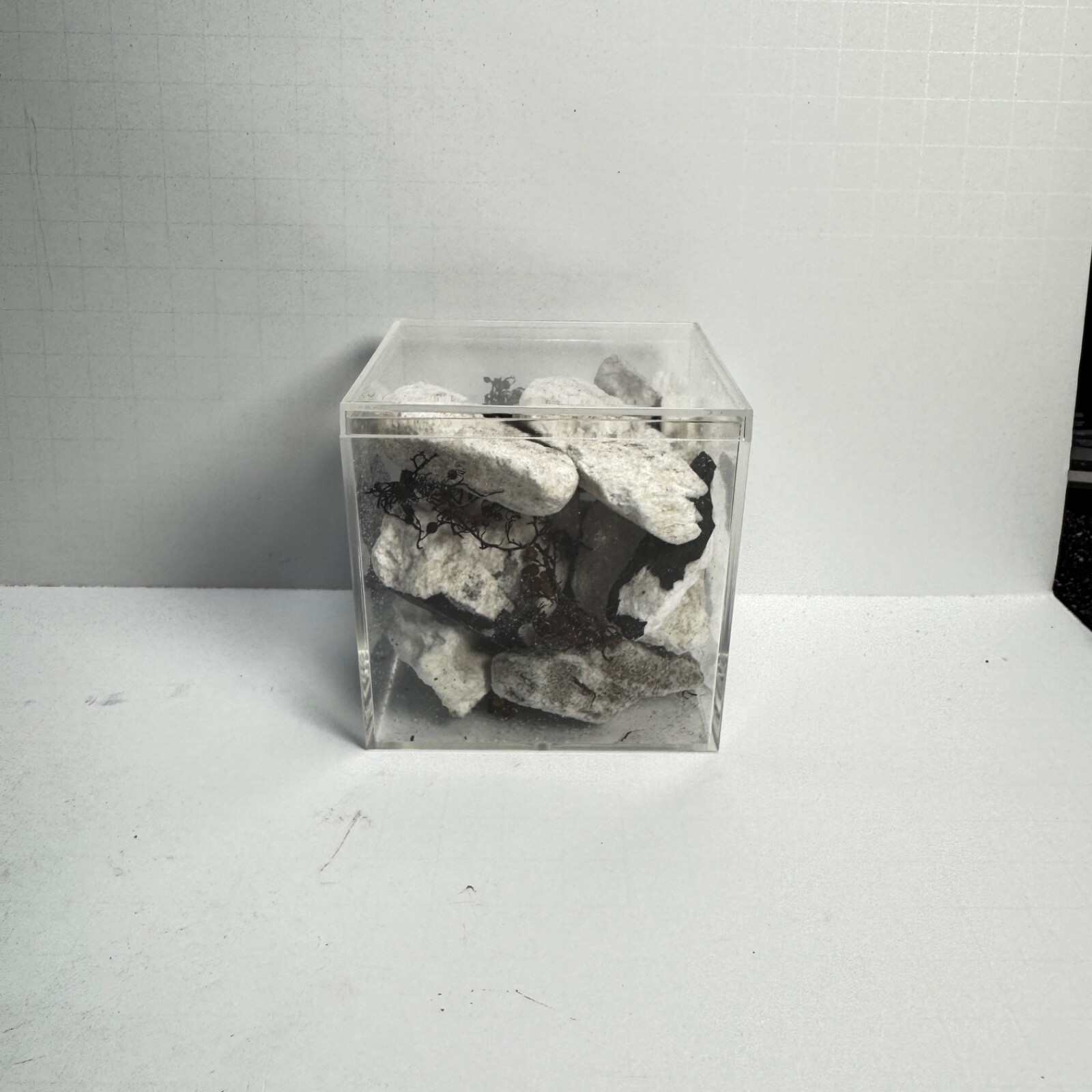 Space X Starship 34 - Recovered Heat Shield Tile Pieces - Flight 8