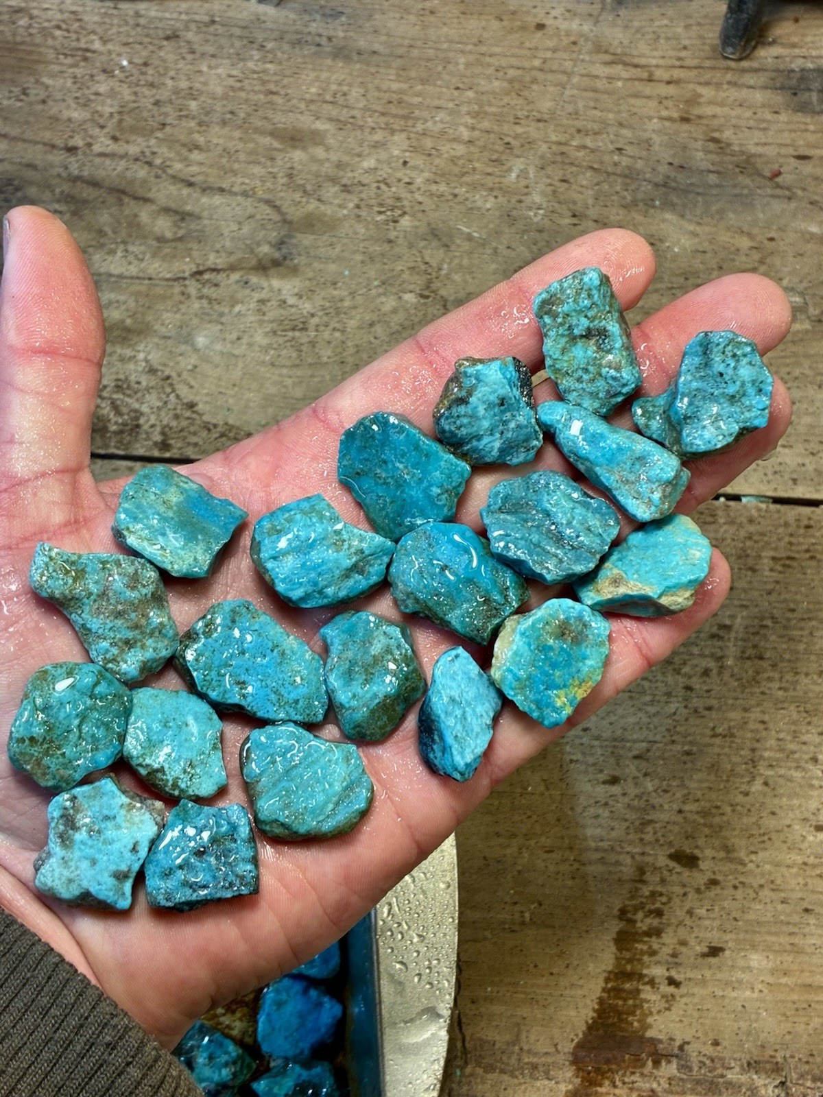 1 Lb. Ithaca Peak, Real Turquoise! Electric blues! High in matrix. ❤️‍🔥3 Left!