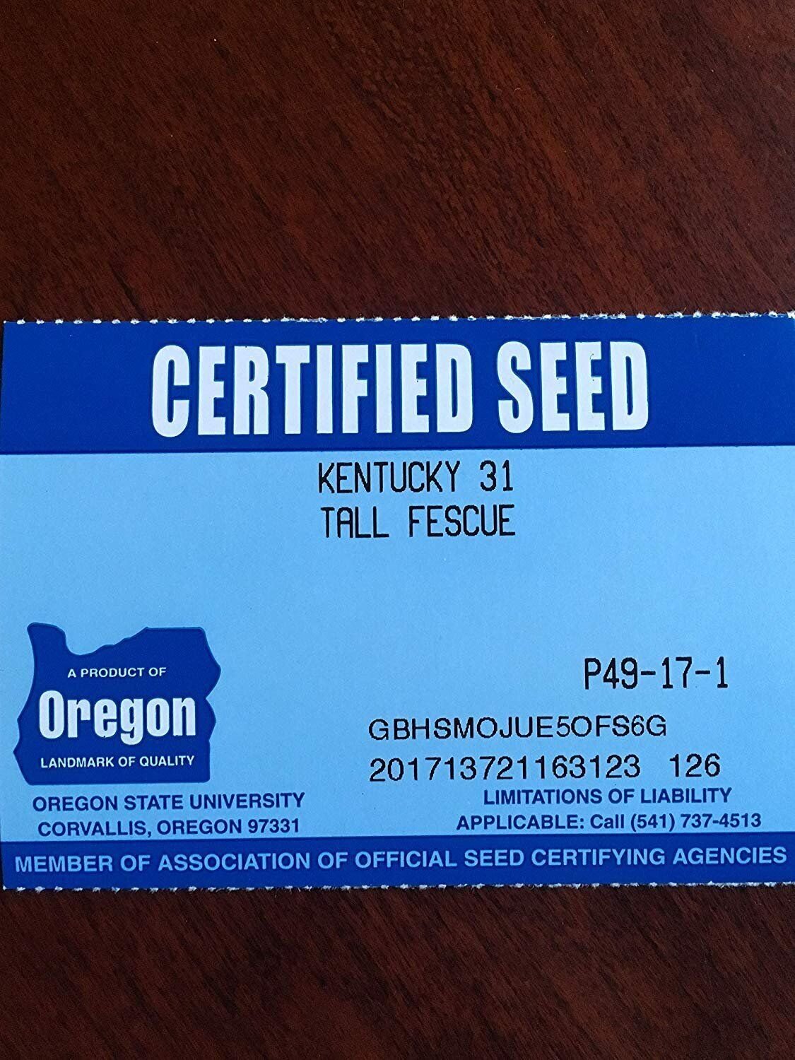 Kentucky 31 K31 Tall Fescue Grass Seed by Eretz - State Certified, CHOOSE SIZE!
