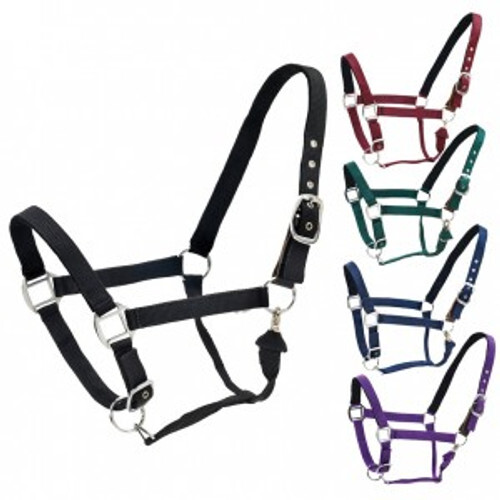 Centaur Solid Cushion Padded Breakaway Halter