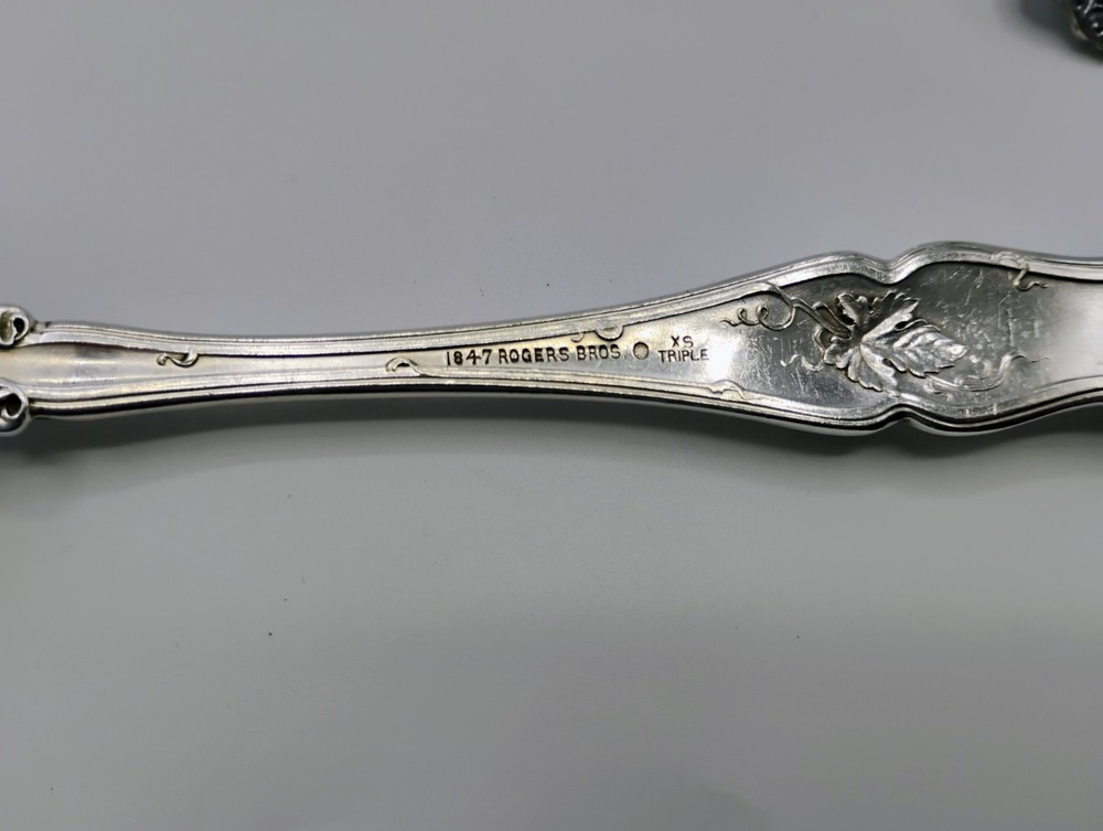 1847 ROGERS BROS Silverplate Grape Pattern Serving Spoon & Table Spoon