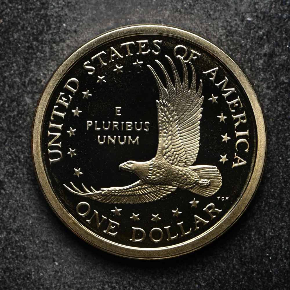 2000-S Proof Sacagawea Dollar (bb15781)