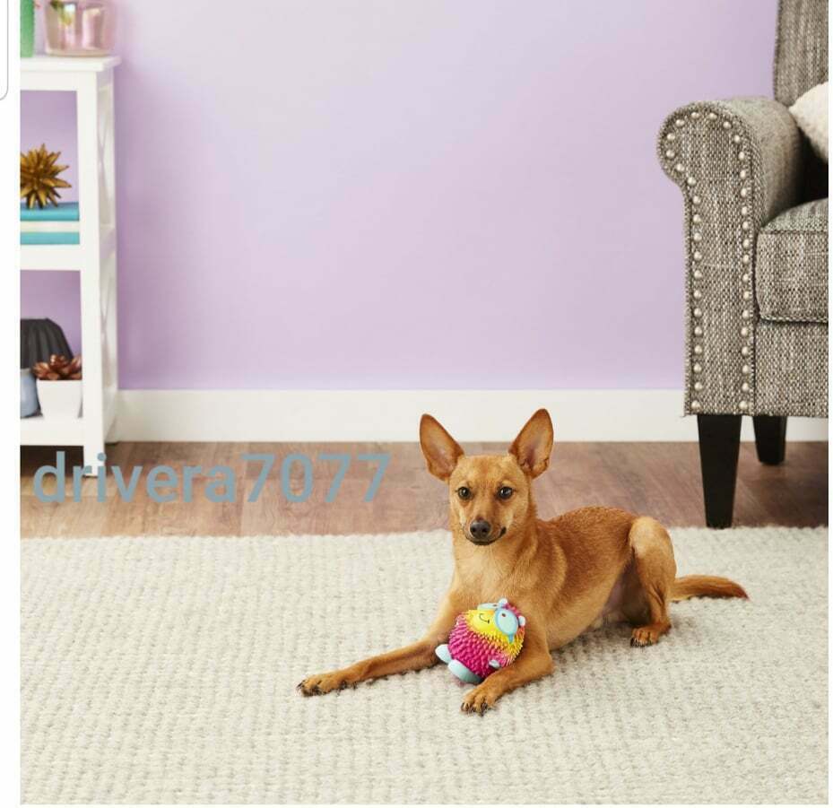 Hartz Frisky Frolic Latex Squeakable Dog Toy, Color Varies, 1 count