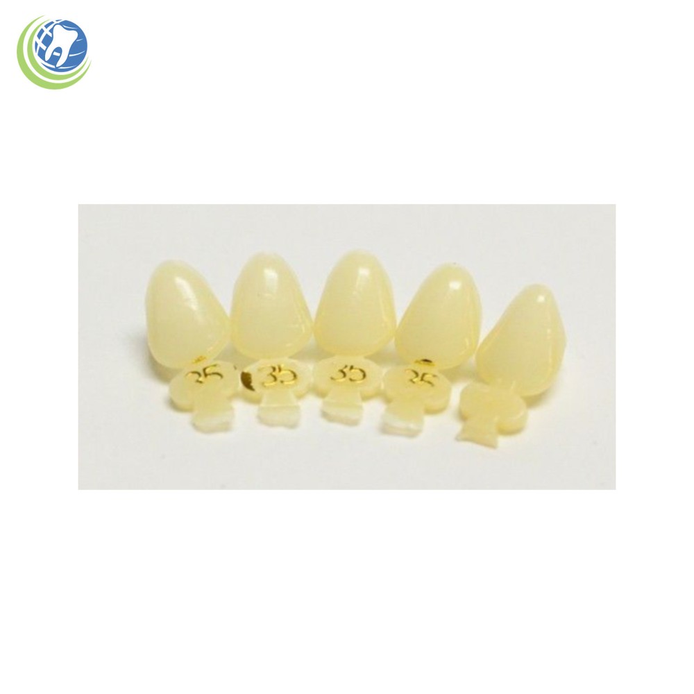 DENTAL POLYCARBONATE TEMPORARY CROWNS #35 (ULC) UPPER LEFT CUSPID 5/PACK