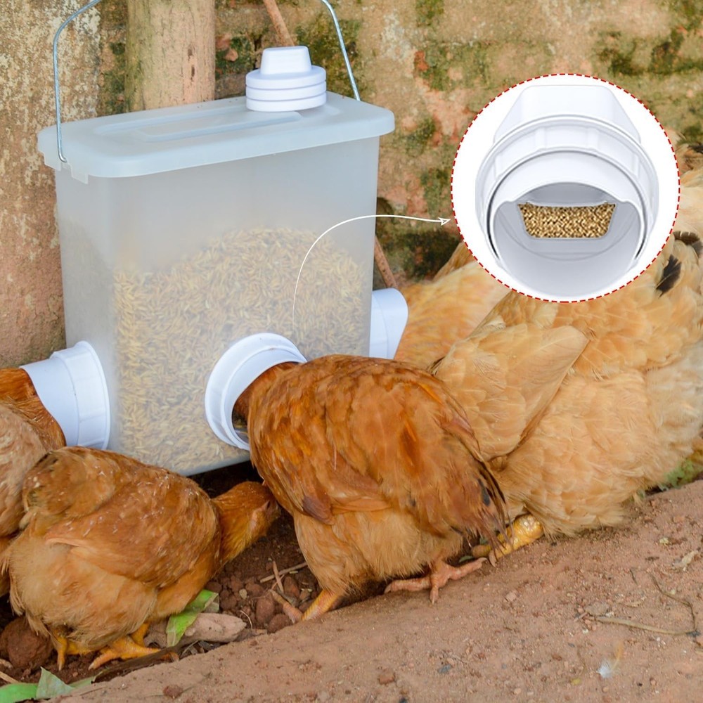 5-Gallon Gravity Feeder Kit for Chickens – Rainproof & Mess-Free Solution