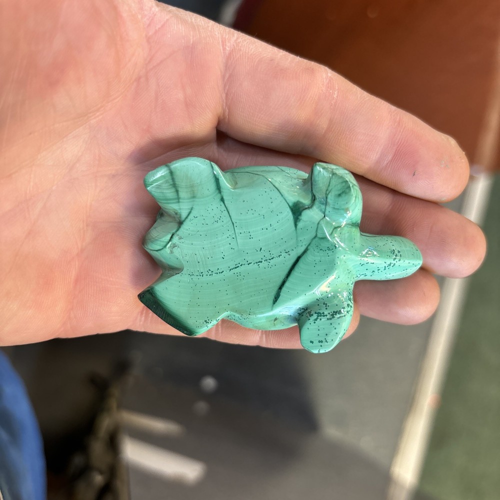 2” Malachite Turtle