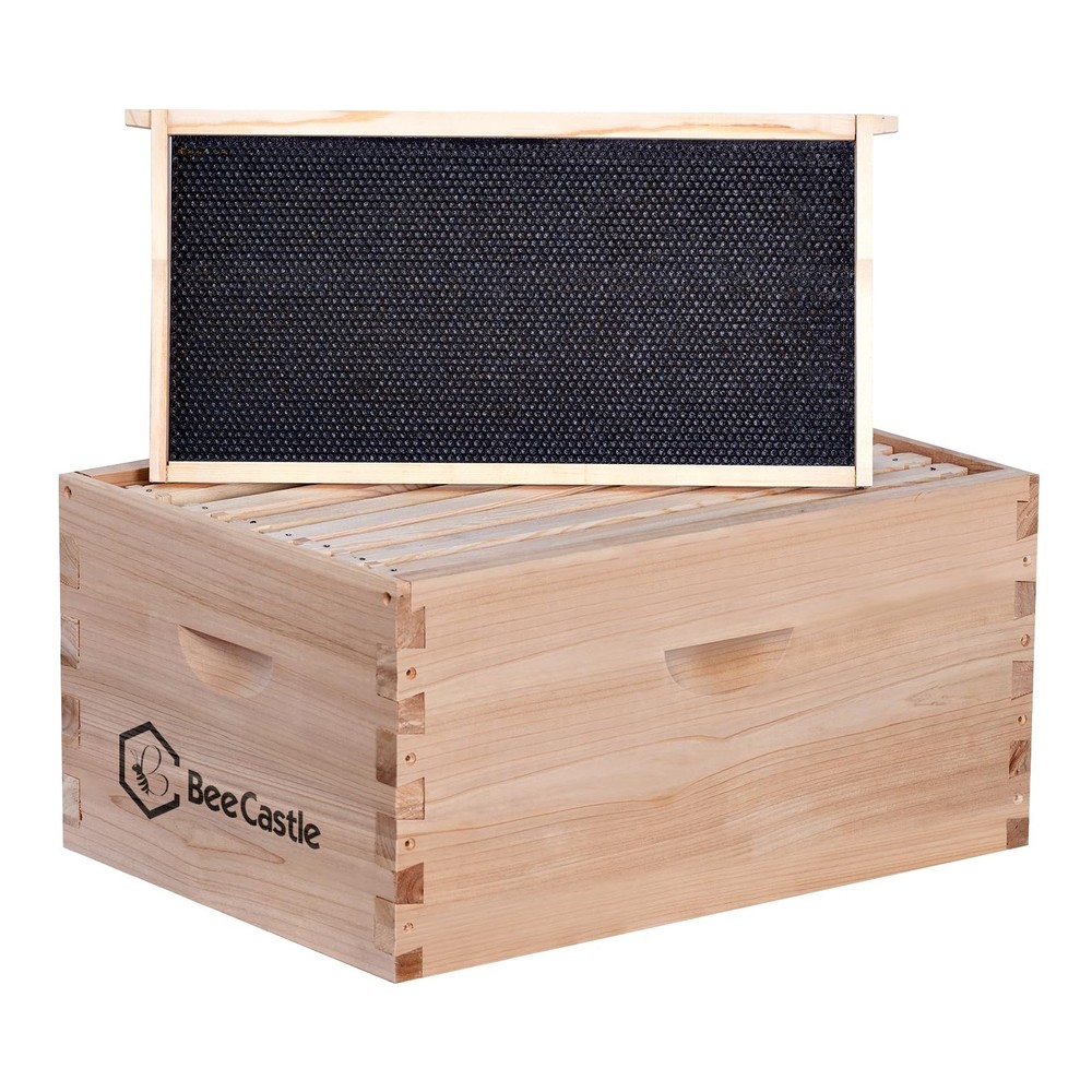 Best BeeCastle 8 Frame Deep Brood Bee Hive Box Langstroth Honey Include Beehive