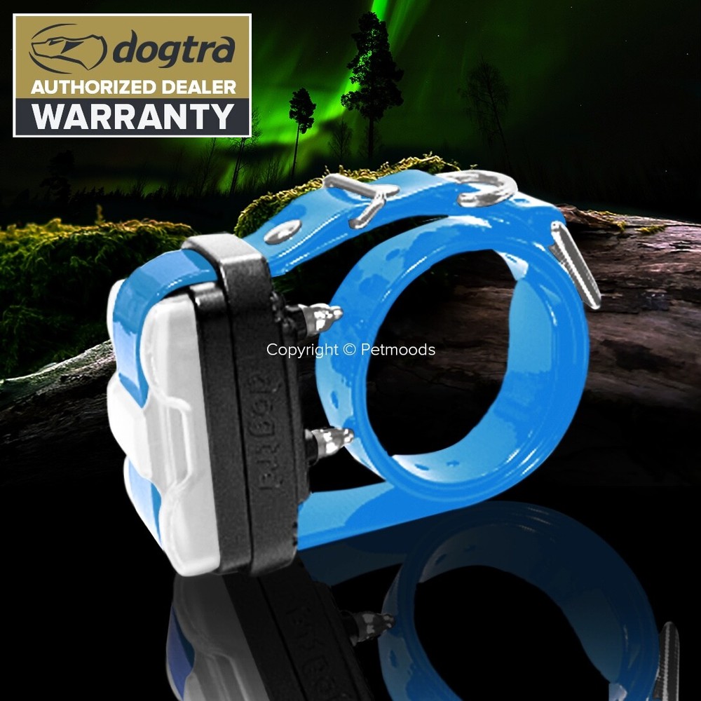 Dogtra Edge Dog Collar Receiver Blue Strap