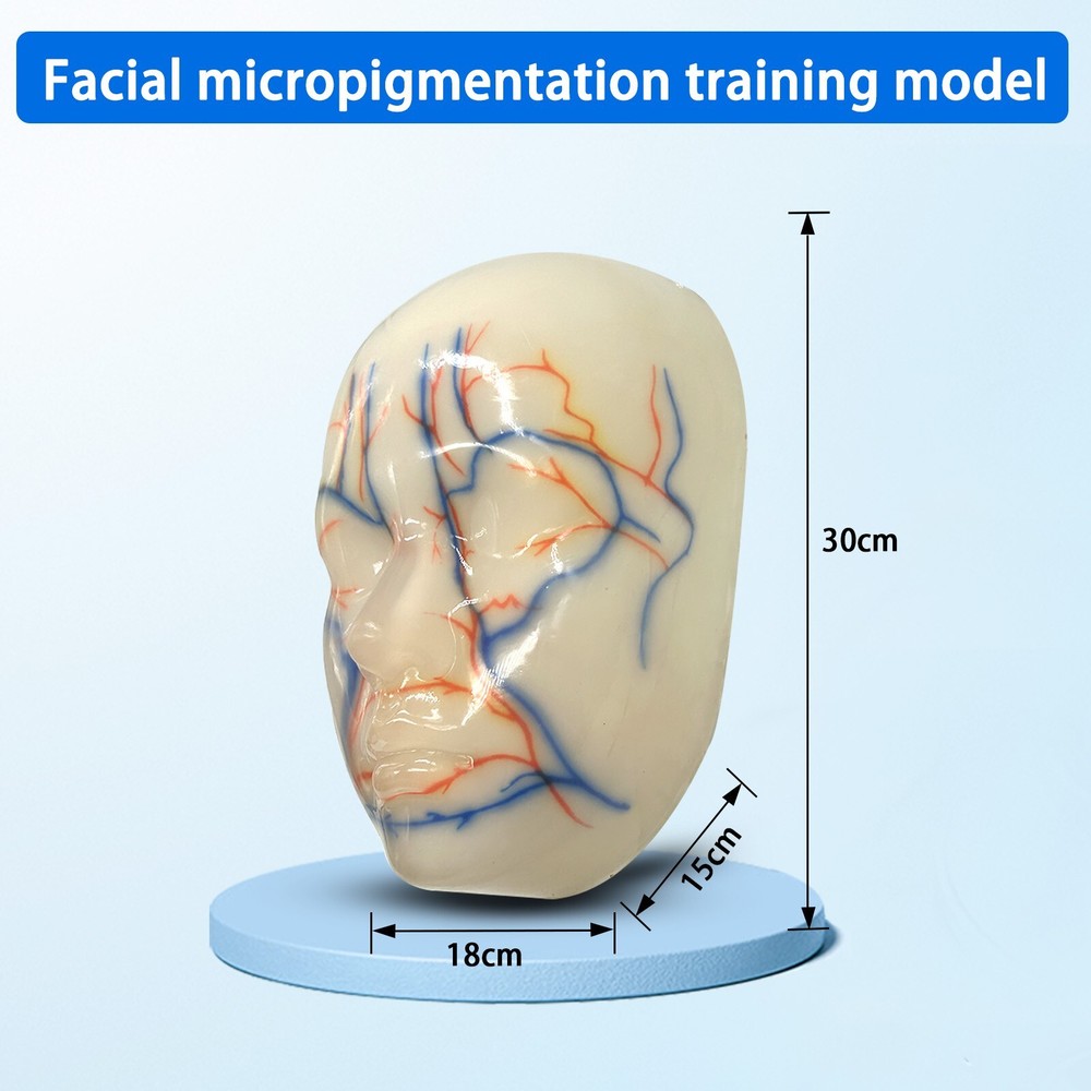 Facial Micropigmentation Training Model One-to-one Normal Female Face Repeatable