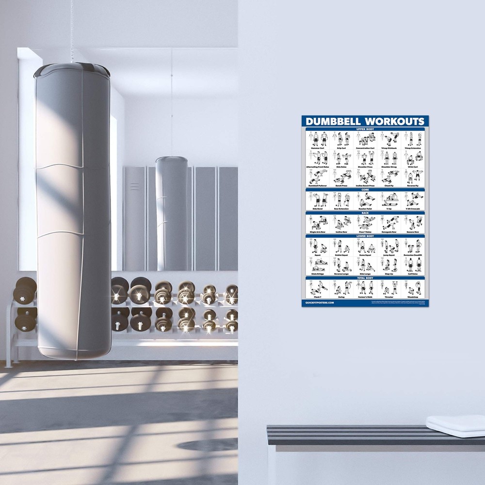 Palace Learning 3 Pack - Dumbbell Workout Posters for 18" x 24", LAMINATED
