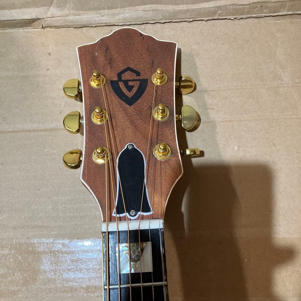 Mysterious Domestic Guild Model