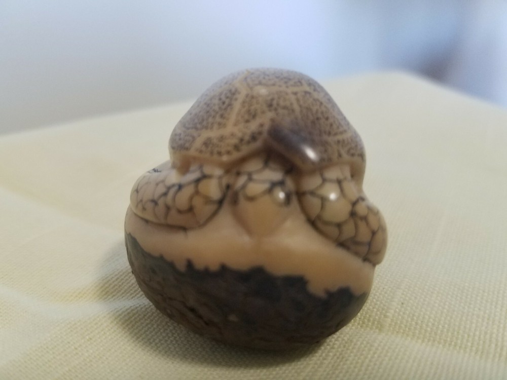 Sea Turtle Tagua Nut Carving ~ Signed ~ Panama