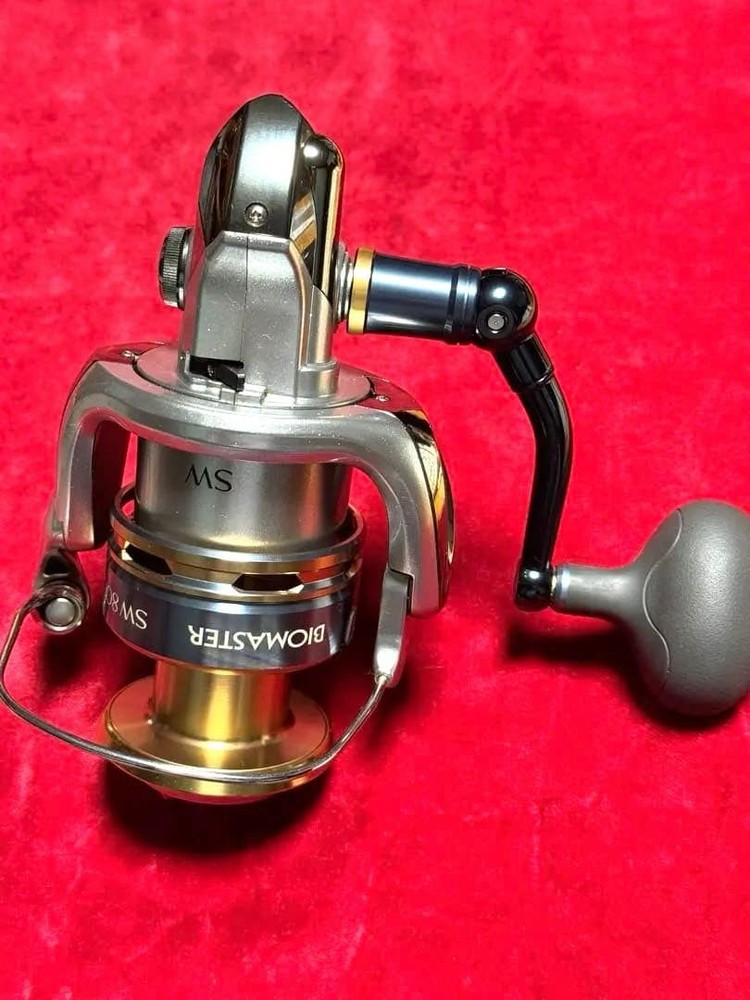 13 Biomaster SW 8000PG