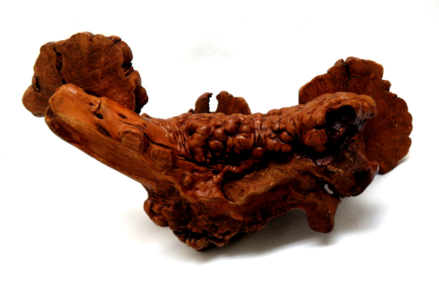 Vintage Natural Organic Burl Wood Root Tiered Triple Display Stand