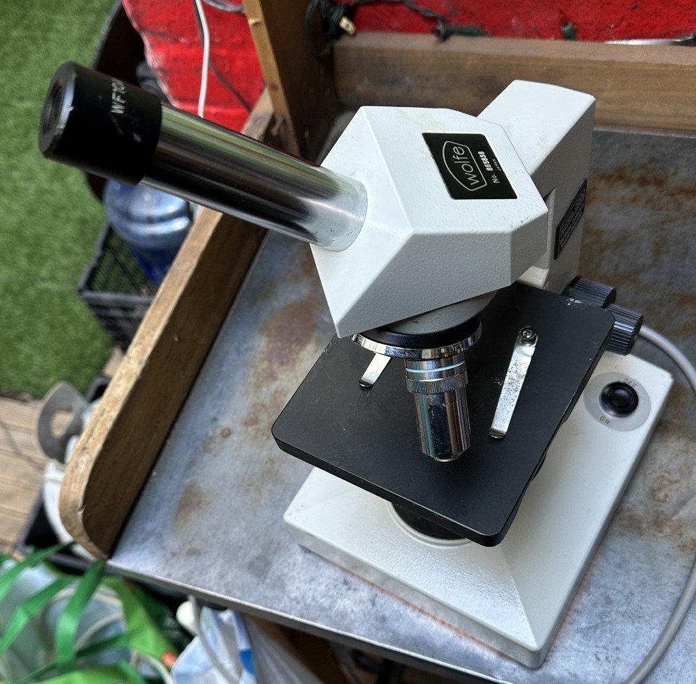 Wolfe Circa 2000 Student Compound Microscope - Model 855838 - Excellent Shape