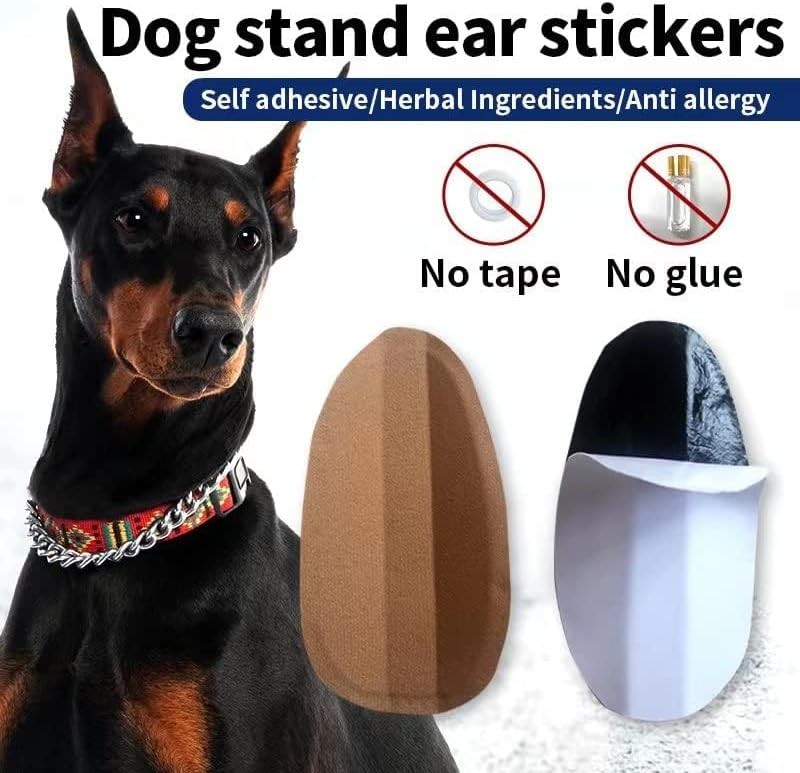 Dog Ear Support Stickers for Doberman Fixing Vertical Holder Correction Tool