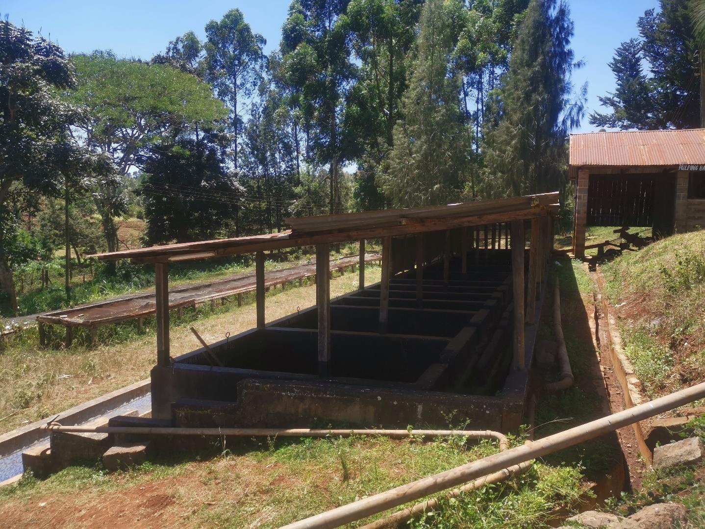 8oz/5lb - Kenya AA – Africa – Premium Fresh Roasted To Order Coffee