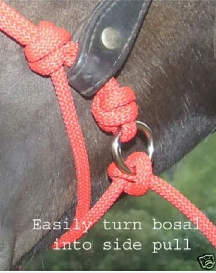 Bosal Bitless Bridle Attachment