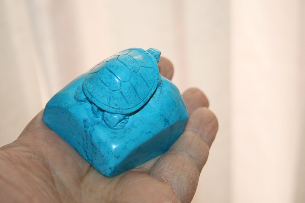 Turtle on a Rock