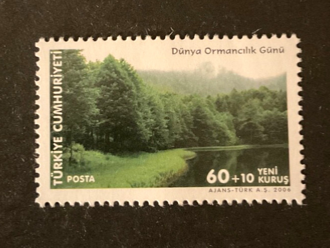 Stamps Turkey Scott #B281 never hinged